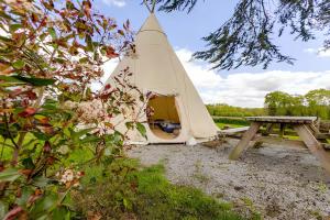 Tentes de luxe Le Val Insolite : photos des chambres