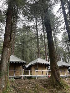 Himtrek Camps Mcleodganj