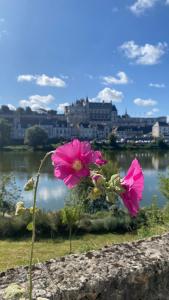 Maisons de vacances La Leonard ile au coeur de l ile d or logement avec chambre climatisee : photos des chambres