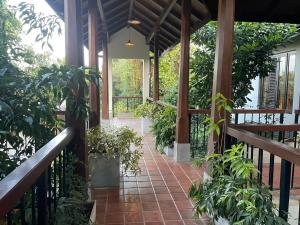 Birders Urban Retreat