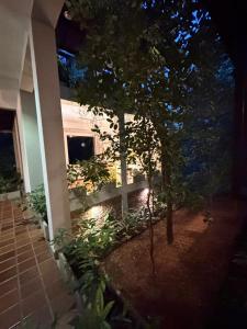 Birders Urban Retreat