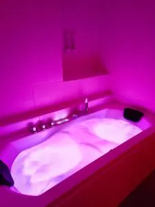 Zen lodge jacuzzi privé - 沃勒维克