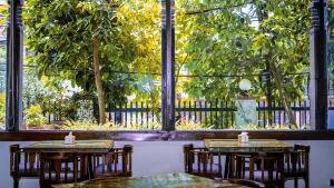 Basera Boutique Hotel - Kathmandus Hidden Escape