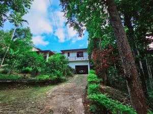 Green Heaven - Puliyadda