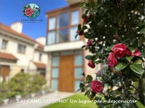 "LAS CAMELIAS SOMO" un lugar para desconectar!! Vistas al MAR!! - Loredo