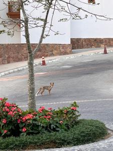 A dream with a sea view in Azzurra