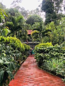 GT COFFEE ESTATE STAY coorg