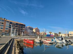 Appartements Appartement bord de mer le Capitaine : photos des chambres