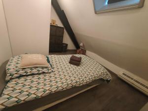 Maisons de vacances Les gites du Zoo,2 logements 10min du zoo piscine partagee juin-octobre & spa partagee avril-octobre ,calme & reposant : photos des chambres