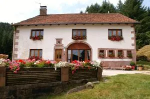 Blanche-Roche, Chambre et table d'hôtes au calme - Dommartin-lès-Remiremont