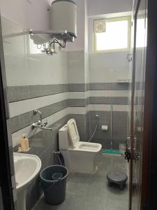 Tulsi near ganga barrage