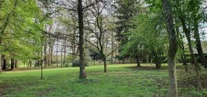 Appartements L-ancienne ferme du chateau : Studio Lit King-Size