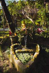 bucu hidden guest house, and meditation center