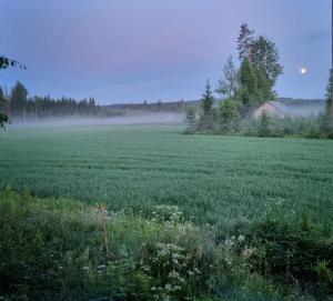 KoloCabins- Hiitolanjoki 3