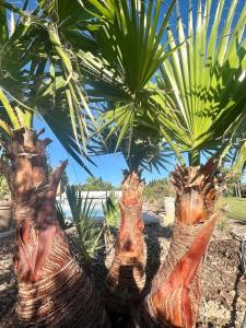 Villas Large modern house near St Remy de Provence : photos des chambres