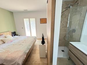 Villas Large modern house near St Remy de Provence : photos des chambres