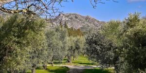 Villas Large modern house near St Remy de Provence : photos des chambres