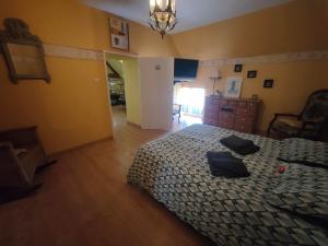 Maisons de vacances Les gites du Zoo,2 logements 10min du zoo piscine partagee juin-octobre & spa partagee avril-octobre ,calme & reposant : photos des chambres