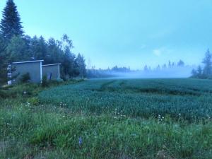 KoloCabins - Hiitolanjoki 4