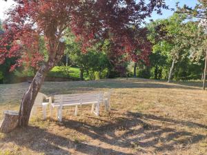 Apartment mit Gartenblick