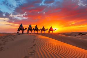 Merzouga Guest Camp
