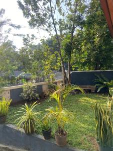 Dilis Homestay - Private Villa