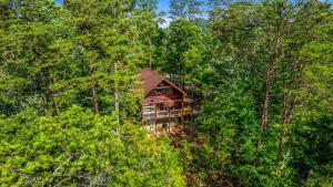 Rustic Cabin - Gorgeous Mountain Views, King Beds, Hot Tub, and only minutes to Dollywood