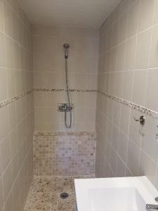 Appartements Les Lauriers : photos des chambres