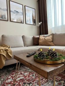 Arctic City Cozy Apartment