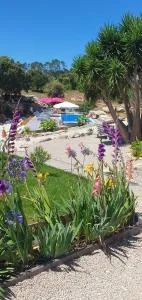 Casa 6 personnes Quinta Das Pedras Da Lagoa - Carrascal