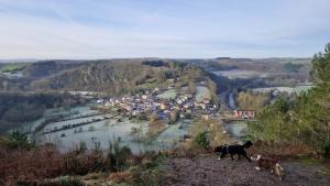 Home, Saint Léonard des bois