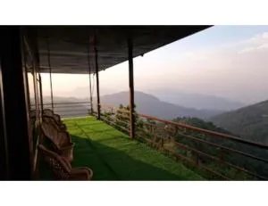 The Kanatal Greenhood - Pratābnagar