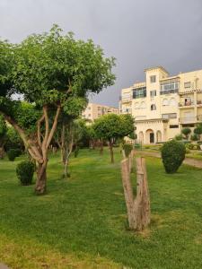 Fes Magic Apartment - With Swimming pool