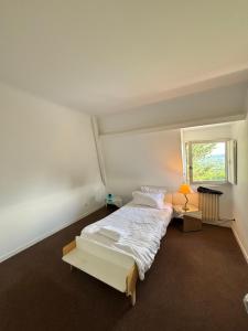 Villas Villa des Aubepines : photos des chambres