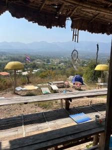Hula Hula Sunset, Dome