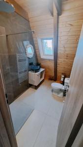 Cabana Evia Porumbacu de Sus