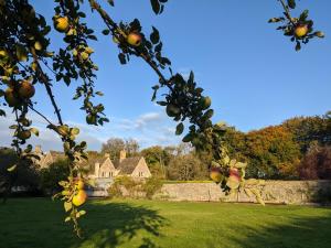 5 star Cotswold luxury with orchard garden