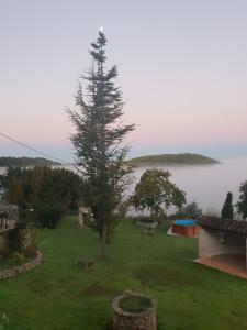 Maisons de vacances Gite avec vue : photos des chambres