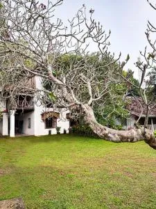 House of Merchants - Kumbalwella