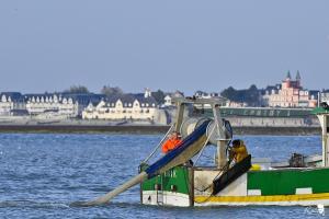 Maisons de vacances Gite La Lueur du Hable - Baie de Somme Hable d-Ault : photos des chambres