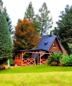 Aleja Lubon - Naprawa