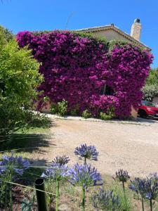 Maisons de vacances Les deux mas : photos des chambres