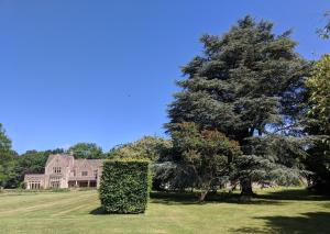 5 star Cotswold luxury with orchard garden
