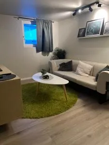 Bright and pleasant basement apartment near downtown, Lys og trivelig kjellerleilighet i sentrumsnært - Zaozersk