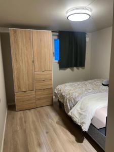 Bright and pleasant basement apartment near downtown, Lys og trivelig kjellerleilighet i sentrumsnært