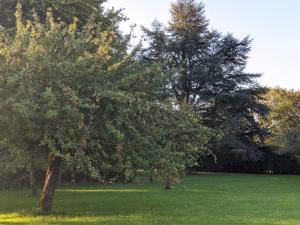 5 star Cotswold luxury with orchard garden