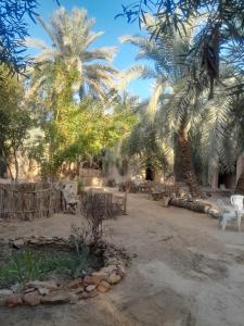 أطيل إنشال Camp Atil Inshaal
