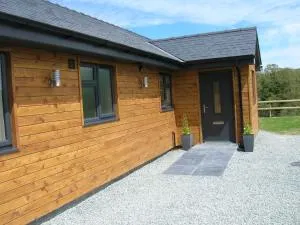 Woodland Lodge Hot Tub Sleeps 6 - Llansaintfraed in Elvel
