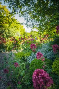 Le Jardin de Marie - le gîte 12 pers Sancerre