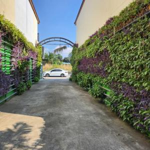 Loft House Resort Pattaya